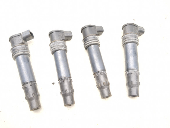 09-17 Triumph Thunderbird 1600 Ignition Coil Plugs Packs Set 129700-3990