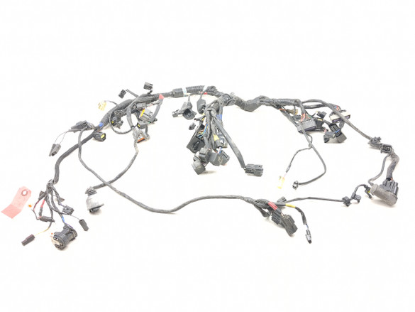 09-17 Triumph Thunderbird 1600 Main Wiring Wire Harness Loom 2500298