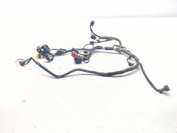 24 Triumph TF-250X Main Wiring Wire Harness Loom