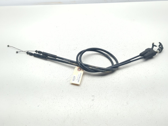24 Triumph TF-250X Throttle Cable Lines 2045276-1