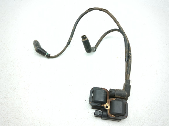 15 16 Can Am Maverick 1000R Turbo XDS Ignition Coil Plugs Packs