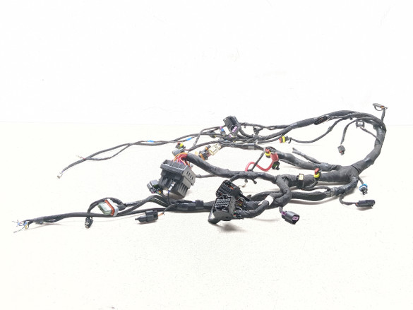 19-25 Indian FTR 1200 Main Wiring Wire Harness Loom