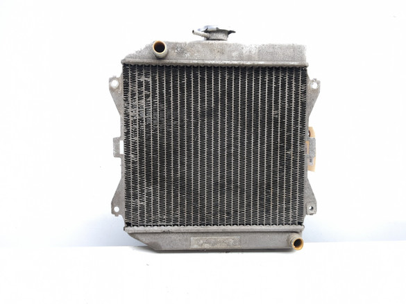 20-25 Honda TRX520FM6 Foreman Rubicon Engine Motor Radiator