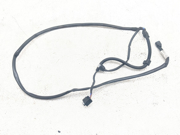 18-23 BMW F850GS Keyless Ride Wiring Harness Wire Loom