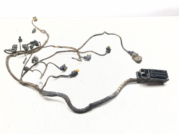18-24 BMW F850GS GS Engine Wiring Harness Wire Loom Main Motor 12518565659