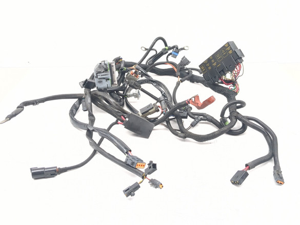 02-06 Harley-Davidson VROD VRSCA Main Wiring Harness 70125-05