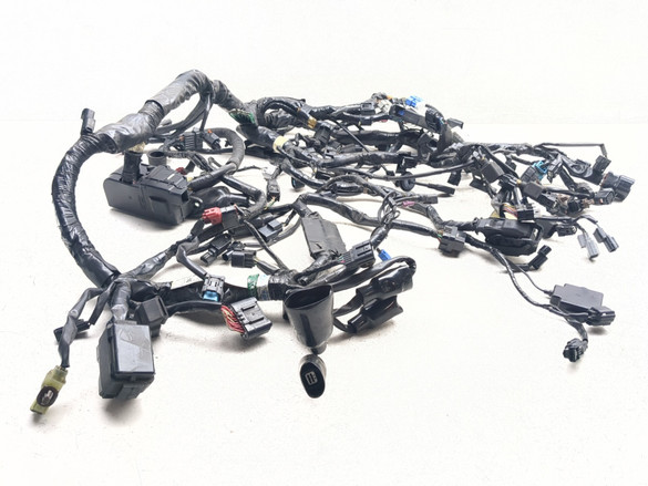 18-24 Honda GL1800 Goldwing 1800 Main Wiring Harness Wire Loom Electrical