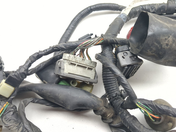 05-08 Honda VTX1800C Main Wiring Harness Wire Loom Electrical