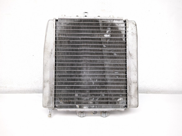 06-11 Piaggio MP3 250 Front Radiator Cooler