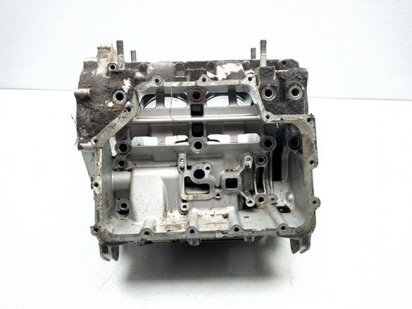 22 Segway Fugleman UT10 X Crankcase Assembly E02-C110000-000-00