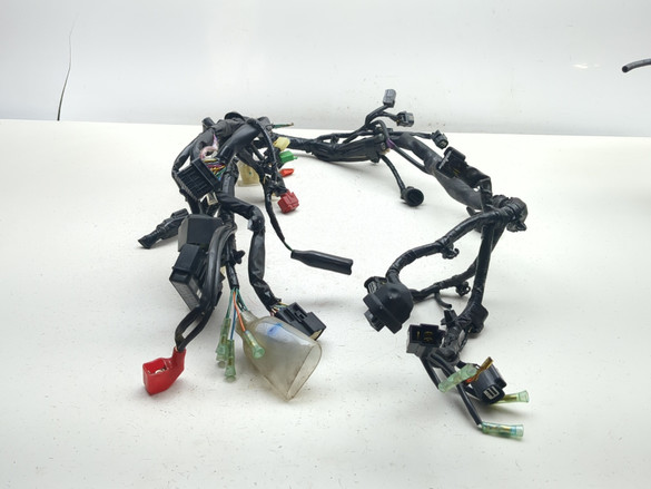19-21 Honda Z125 MA Monkey Main Wiring Wire Harness - Sun Coast