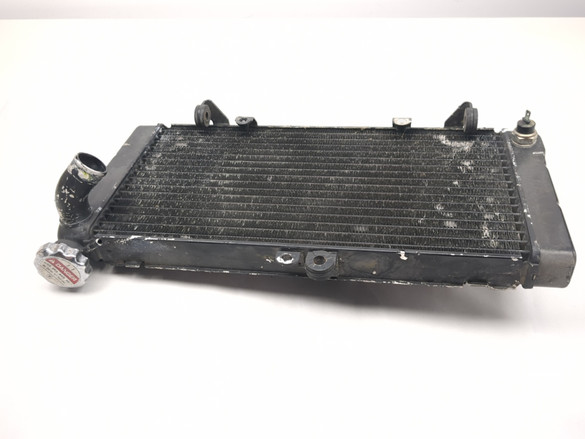97-04 Honda Valkyrie 1500 GL1500C Front Radiator Cooler 19010-MZ0-003