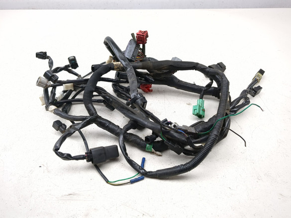 21-25 Kawasaki KLX 300 SM Main Wiring Harness 26031-3775 - Sun