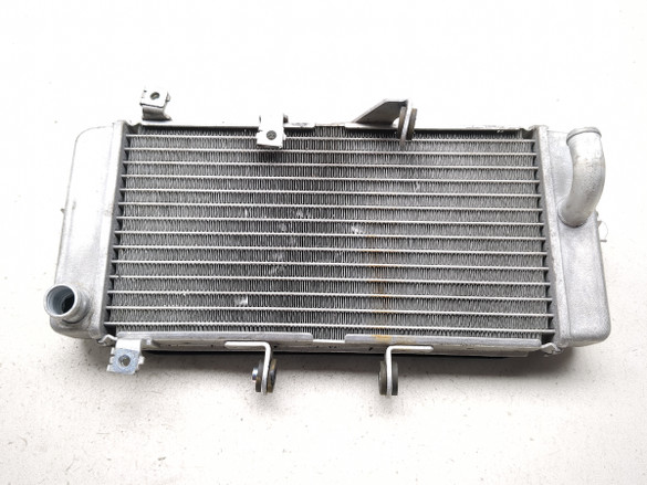 18-25 Suzuki GSX250R GSX 250 Engine Motor Radiator With Grille Guard DG190711