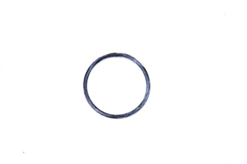 Polaris 452550 0452550 Carburetor O-ring QTY 1