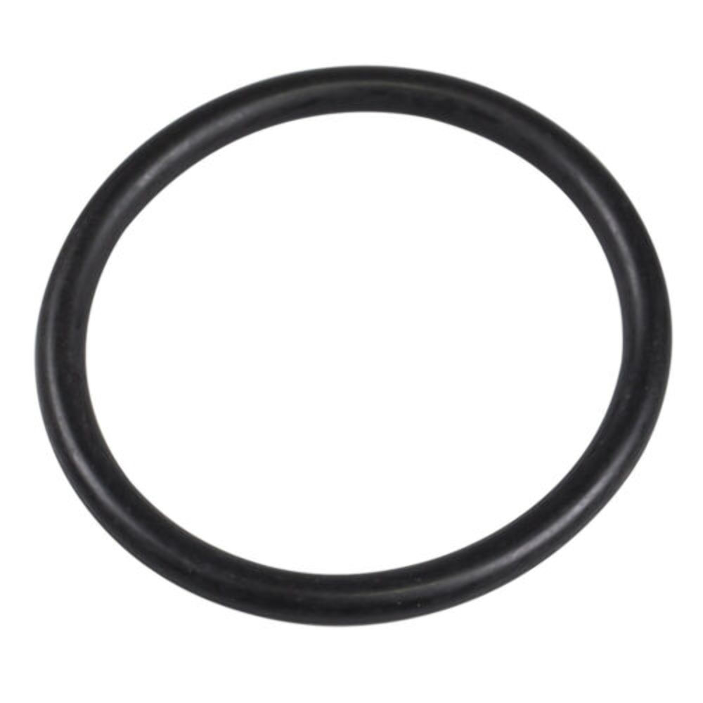 Polaris O-RING BODY 1800030 QTY 2