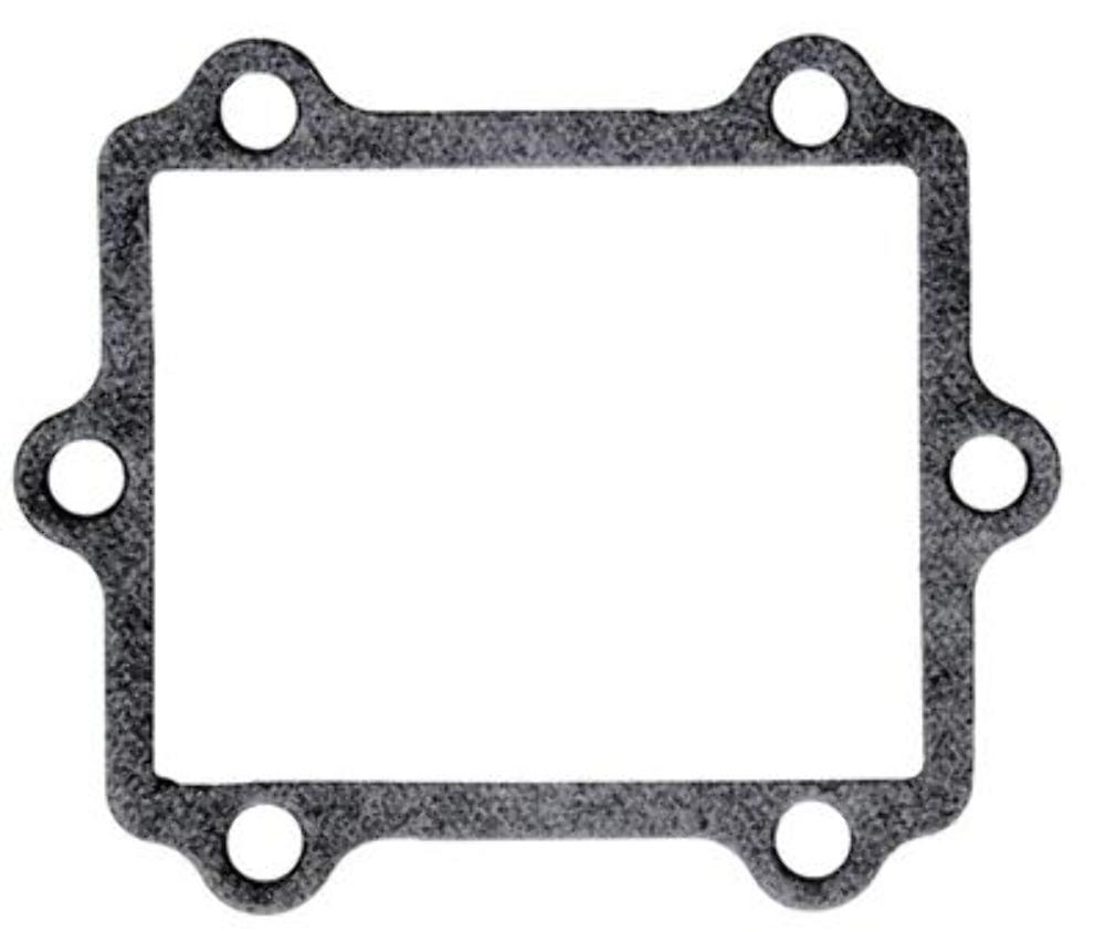 WPS Valve Gasket for V-Force 11-9768