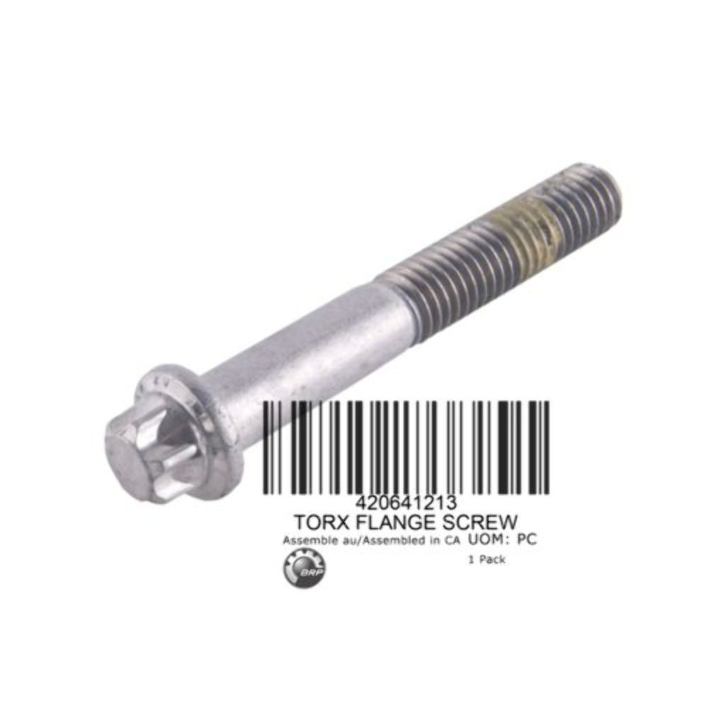 Seadoo OEM Torx Flange Screw 420641213