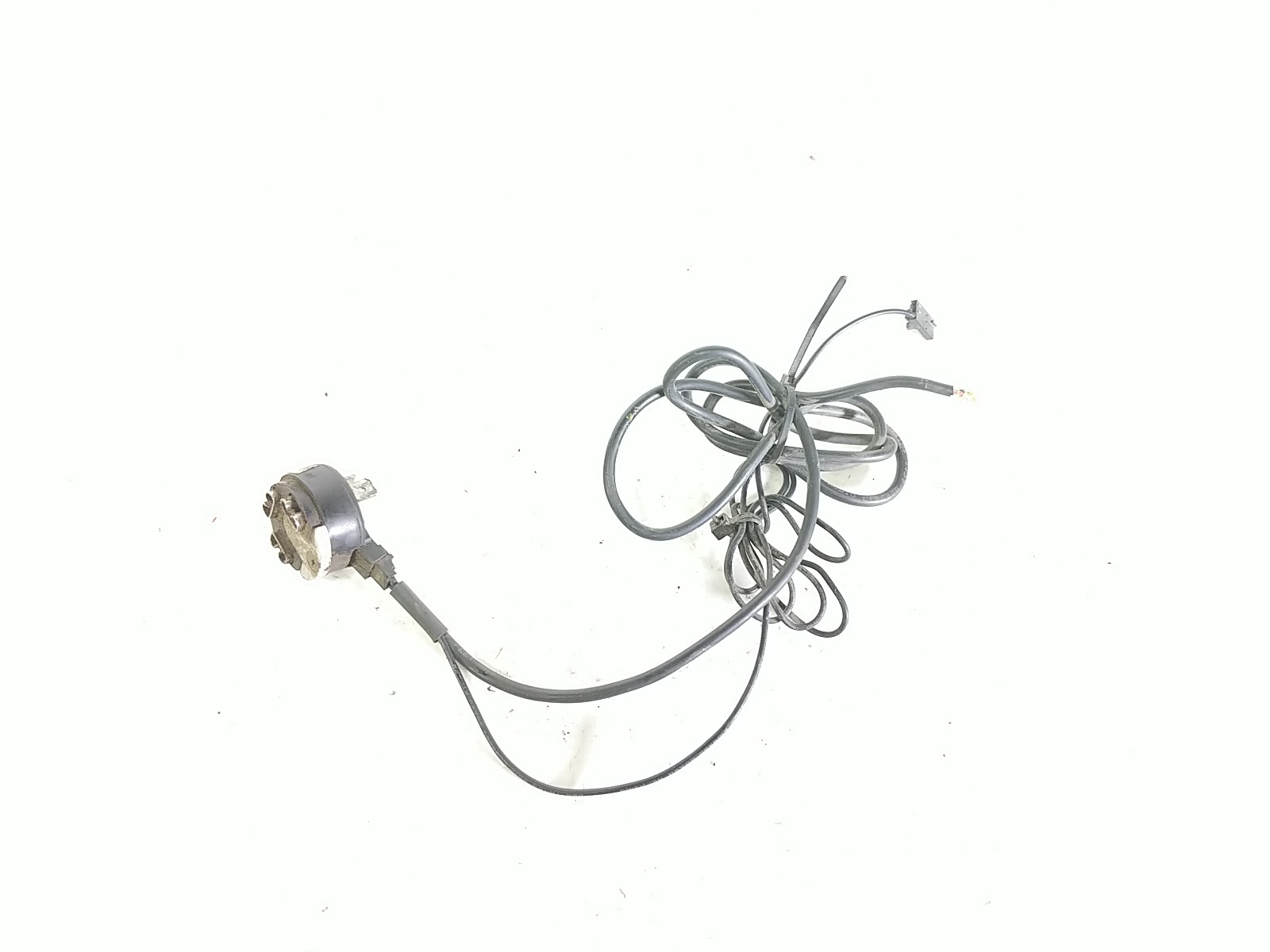01 Triumph Tiger 955i Relay Plug Wire Harness