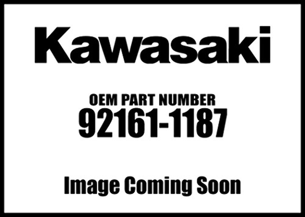 Kawasaki 2001-2020 Vulcan Eliminator Damper 92161-1187 New Oem