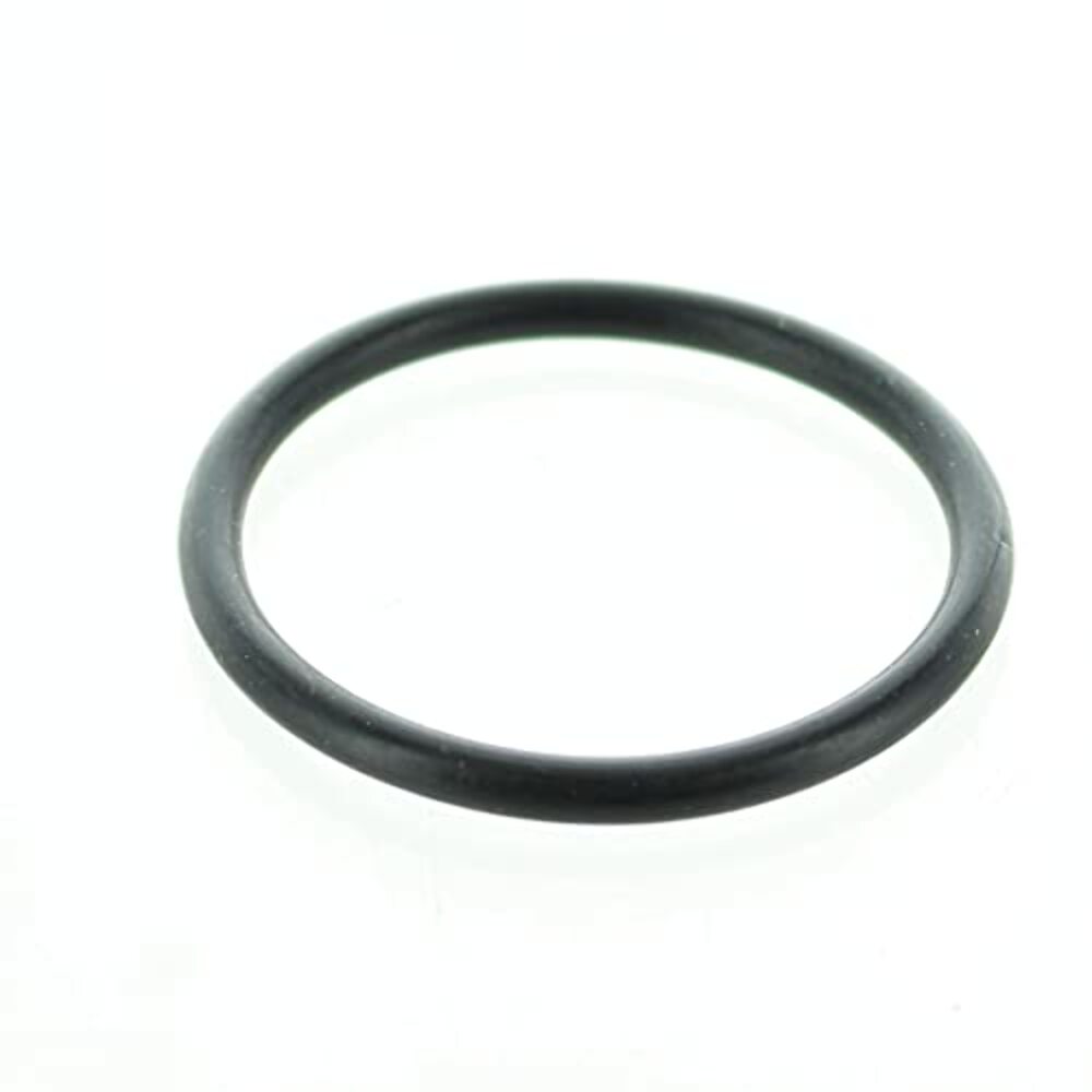 Polaris New OEM O Ring Body 1800030