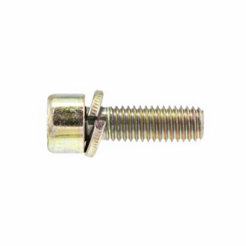 Polaris 7517322 Engine Screw 96-19 Switchback RMK IQ RZR Ranger 800 QTY 2