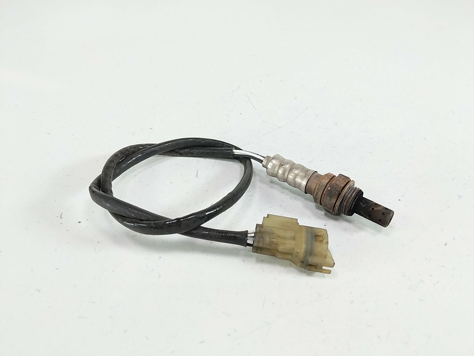 06 Honda CBR600RR CBR 600 O2 Oxygen Sensor 577-H16