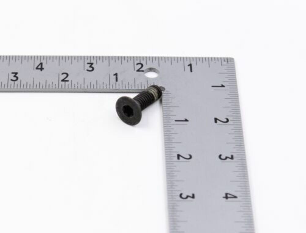 HARLEY 3675 XL TORX SCREW QTY 4 OEM