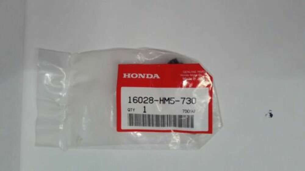 OEM Honda Screw Set 1988-06 TRX350 TRX500 16028-HM5-730