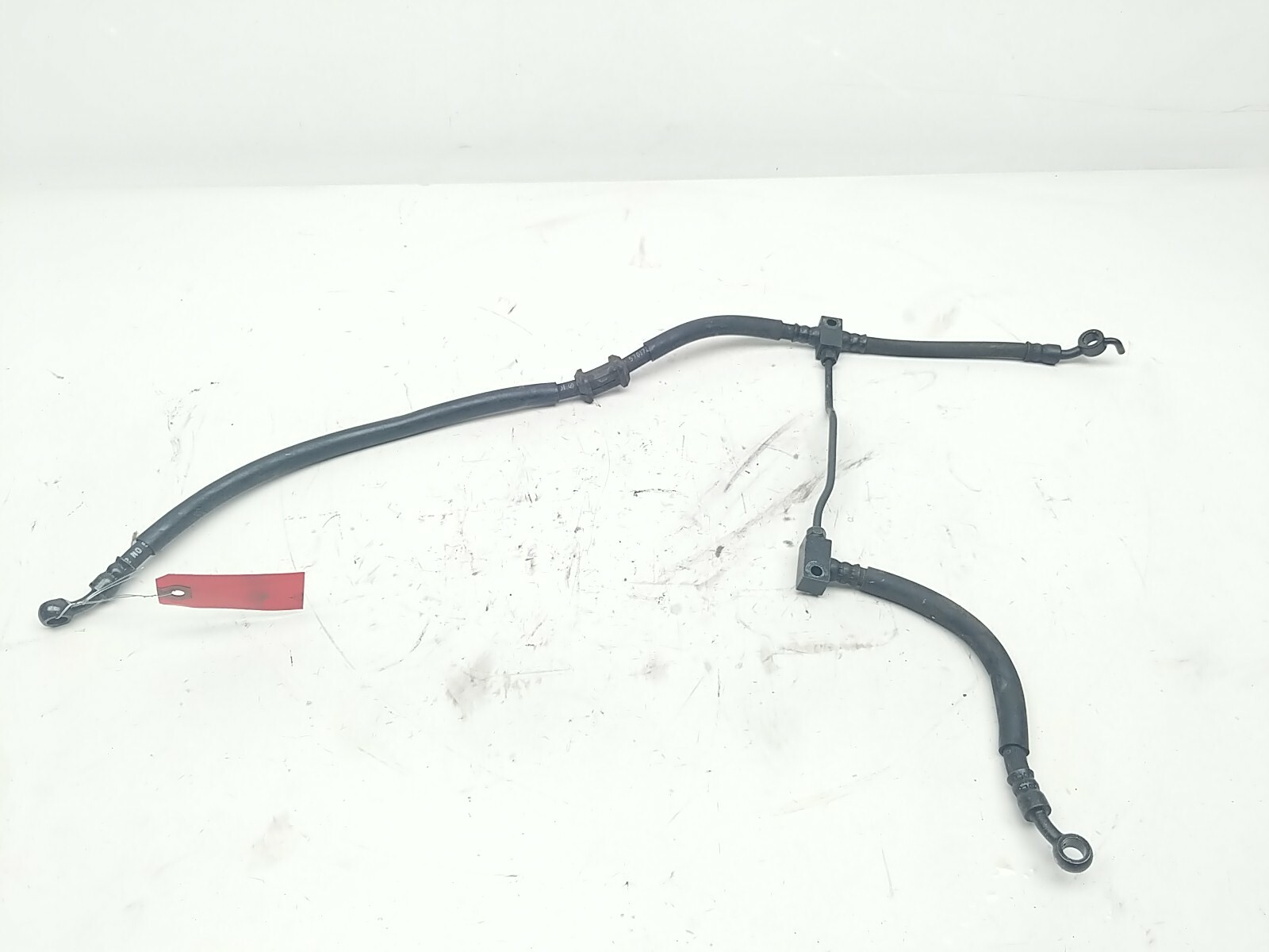 00 Honda CBR1100XX Blackbird CBR 1100 Front Brake Line Hose (B)