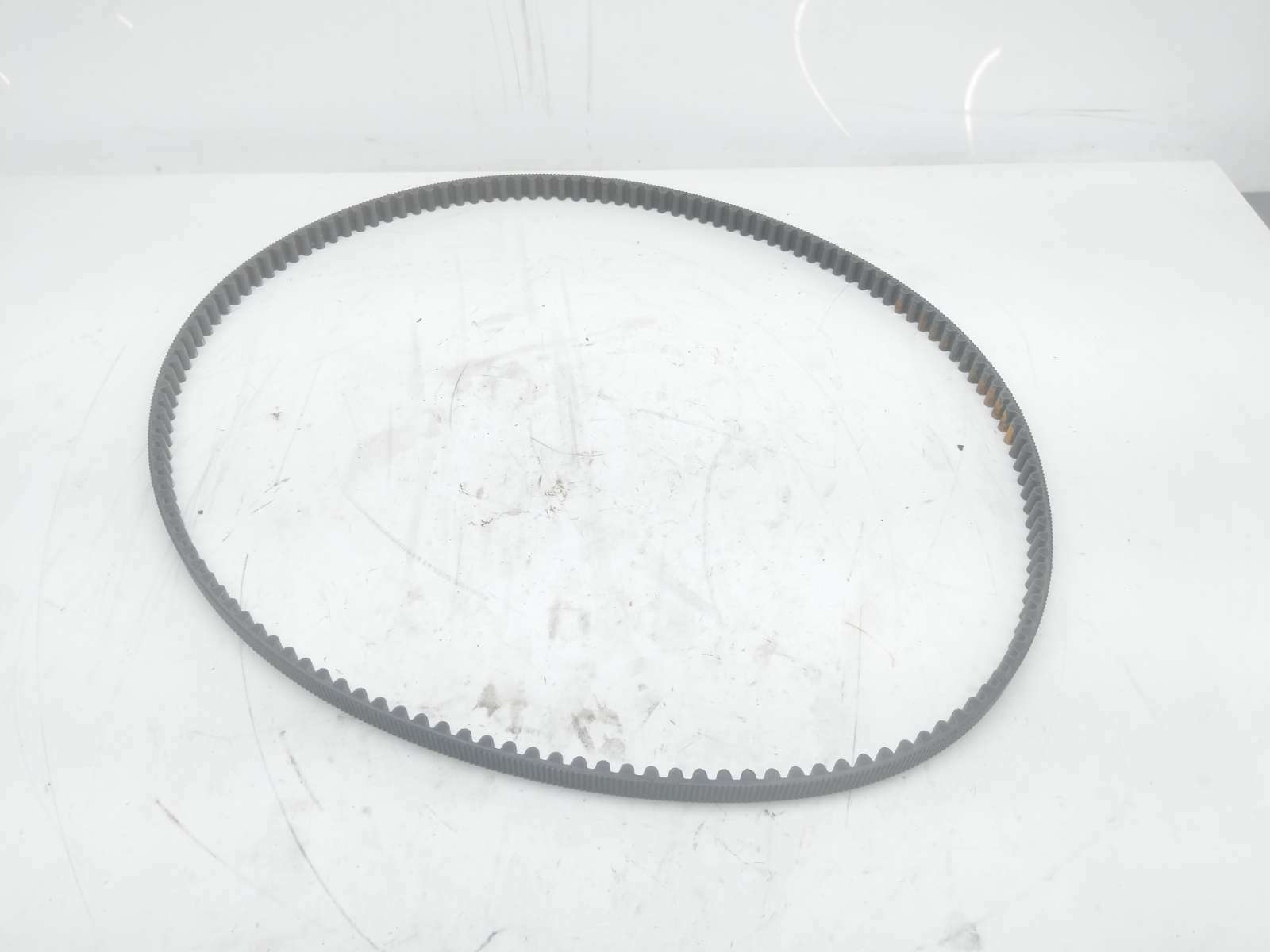 19 Indian Scout Primary Drive Belt