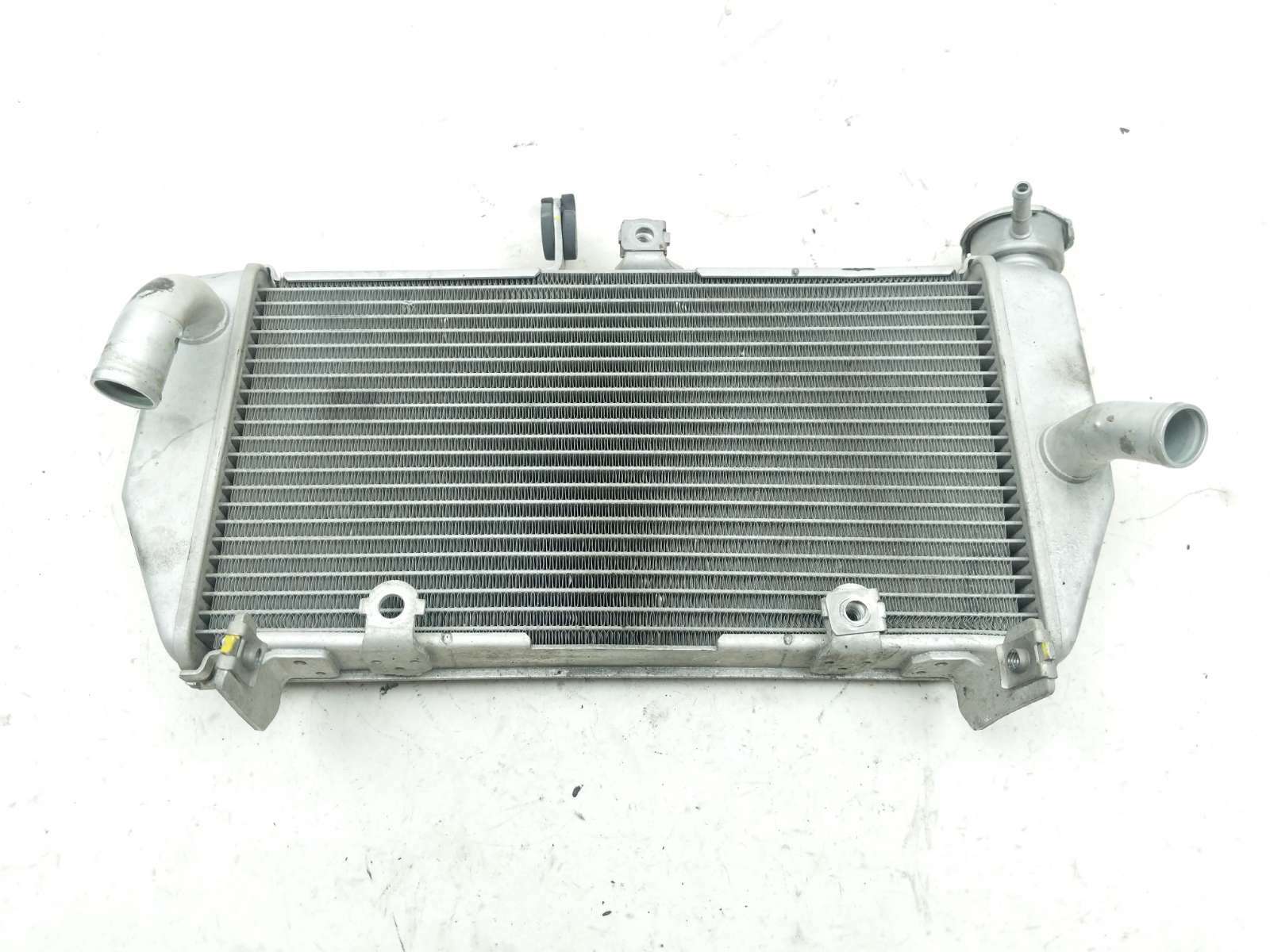 15 Yamaha YZF R3 Radiator - Sun Coast Cycle Sports | Used