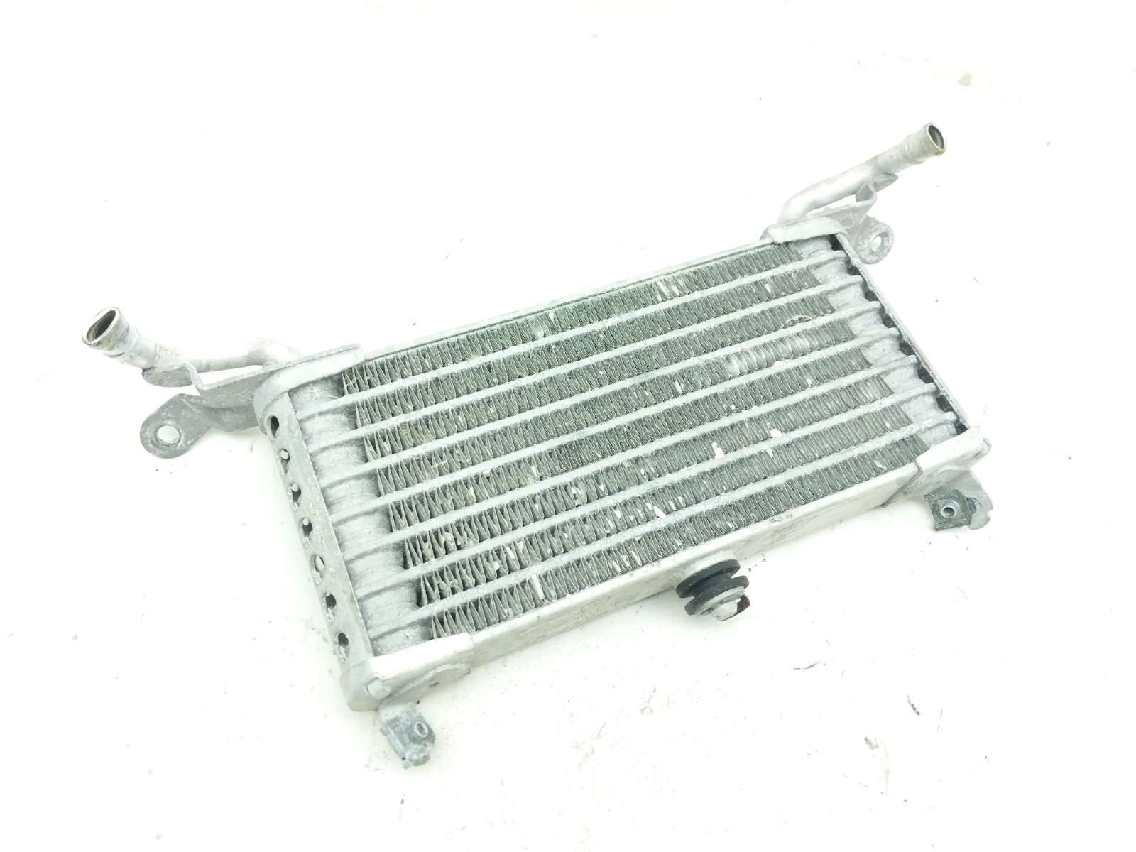 ＢＭＷ　純正 C1000　タンク 19 BMW S1000XR 1000 XR Oil Cooler 17218544996-03 - Sun Coast Cycle