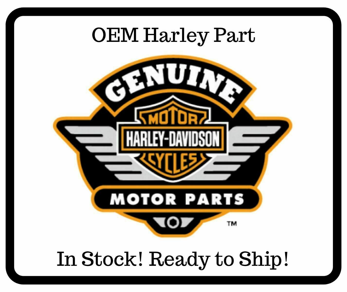 Harley Davidson Screw Hex Socket Head Cap QTY2 10200058