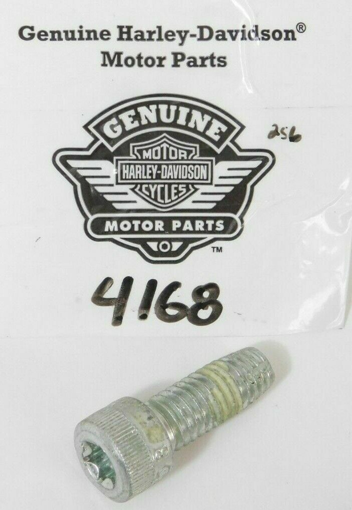 Genuine Harley Davidson Socket Head Torx Screw 4168 QTY 2