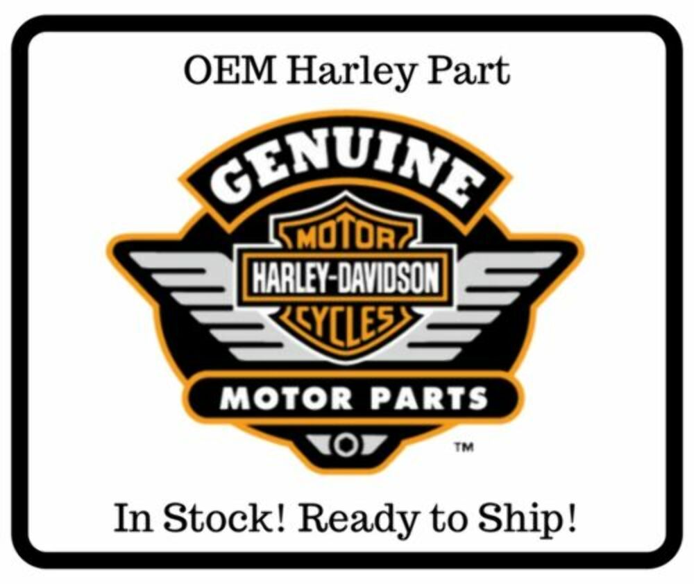 Harley Davidson OEM RETAINING RING 11302 QTY 2