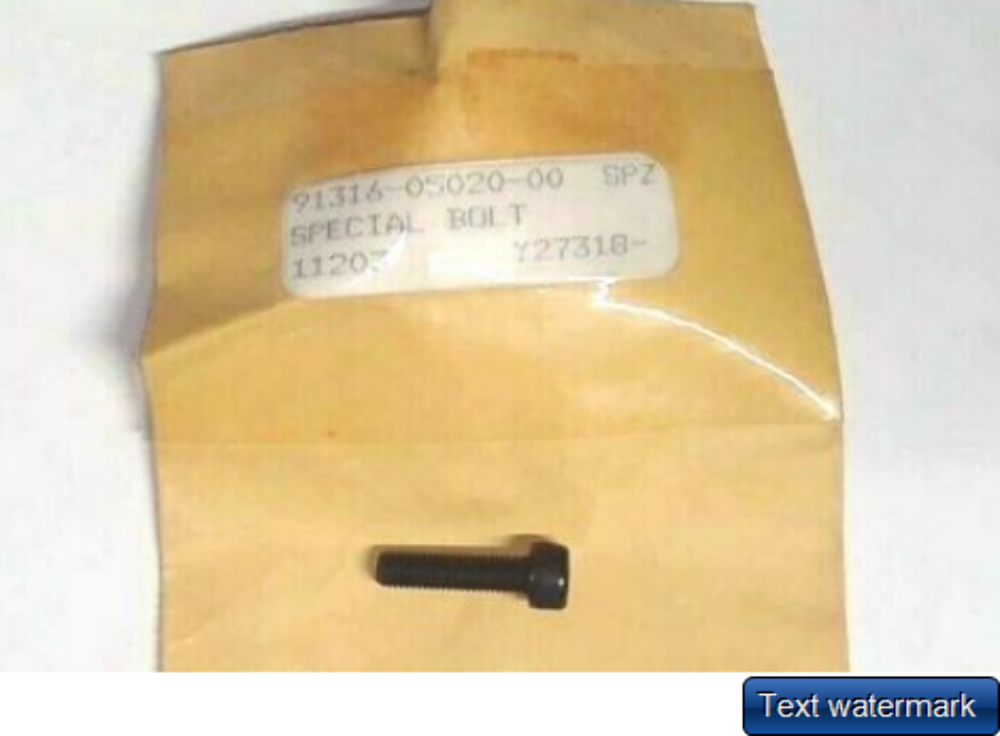 GENUINE Yamaha 91317-05020 BOLT QTY 2 - Sun Coast Cycle