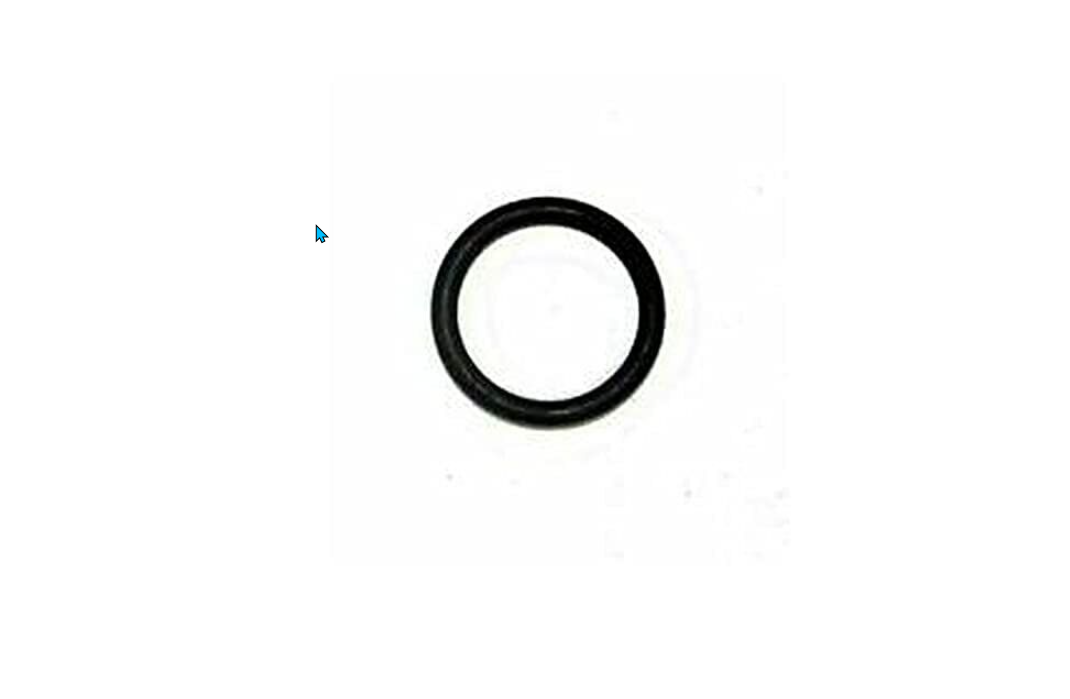 CAN-AM O-RING 293300024