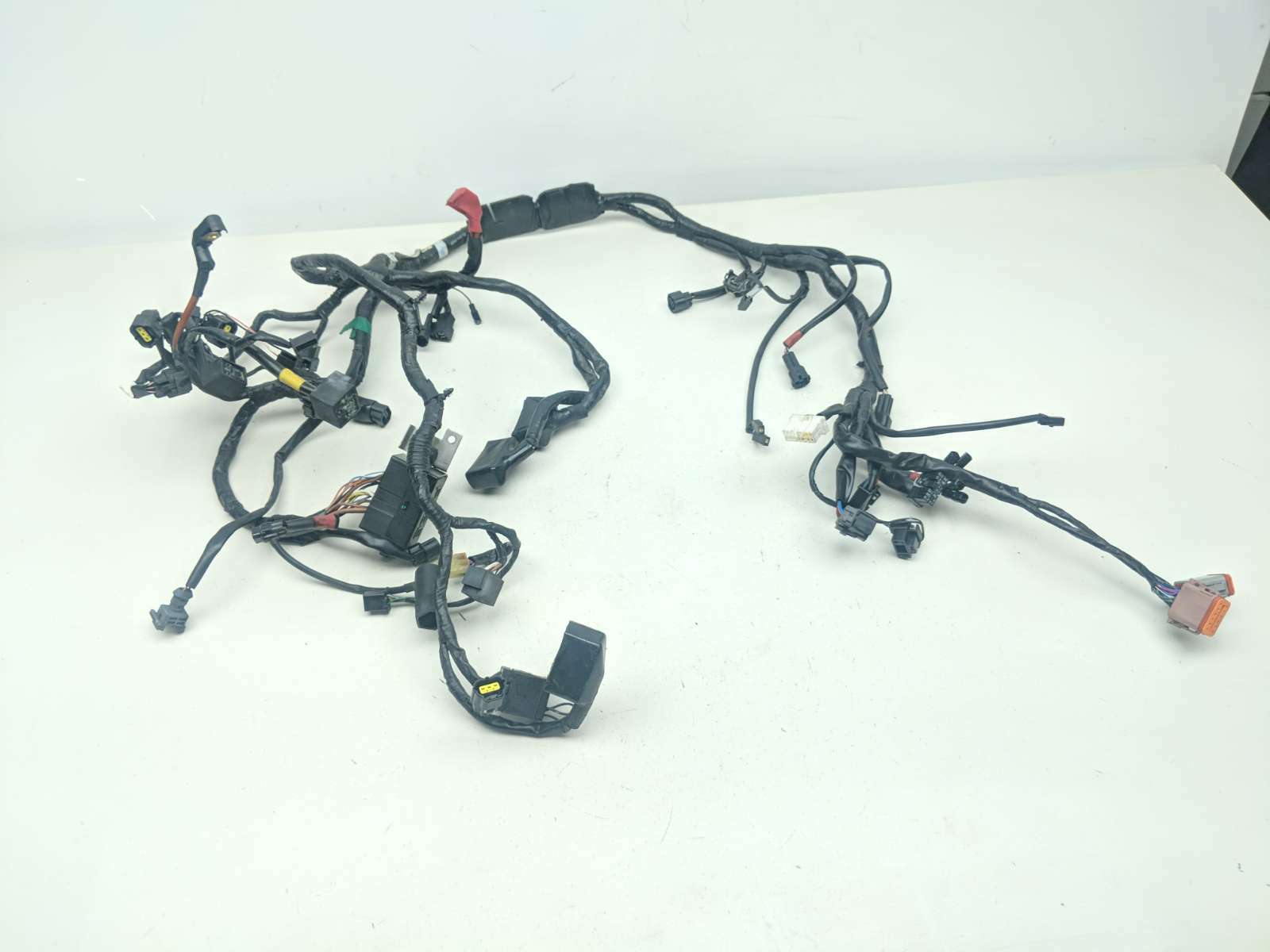 15 Triumph Thruxton 900 Main Wiring Wire Harness Loom