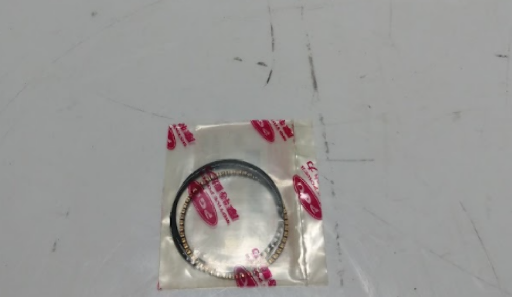 PGO OIL SCRAPER RING COMP C1067402000