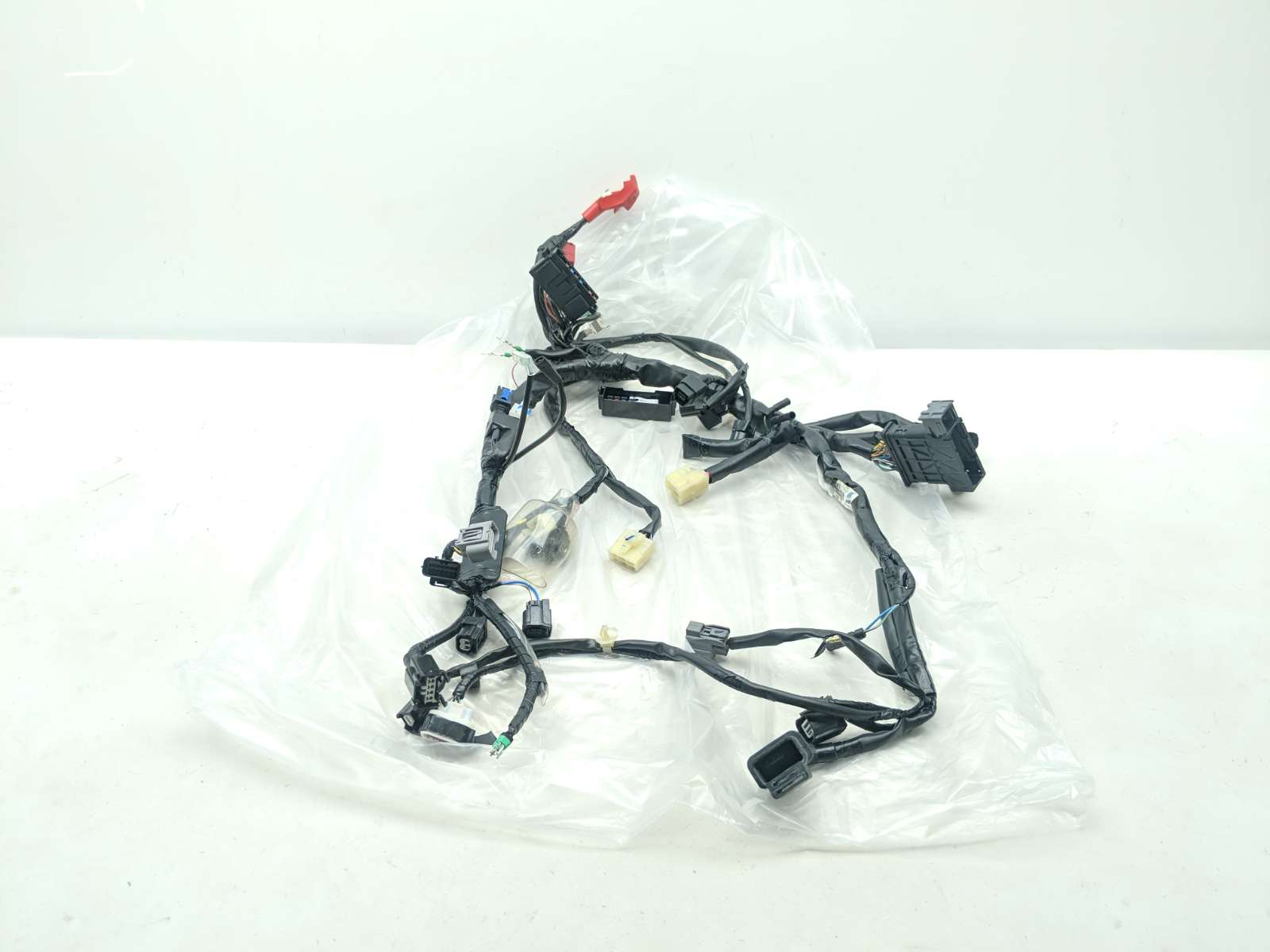 23 Honda Super Cub C125A Main Wiring Wire Harness Loom