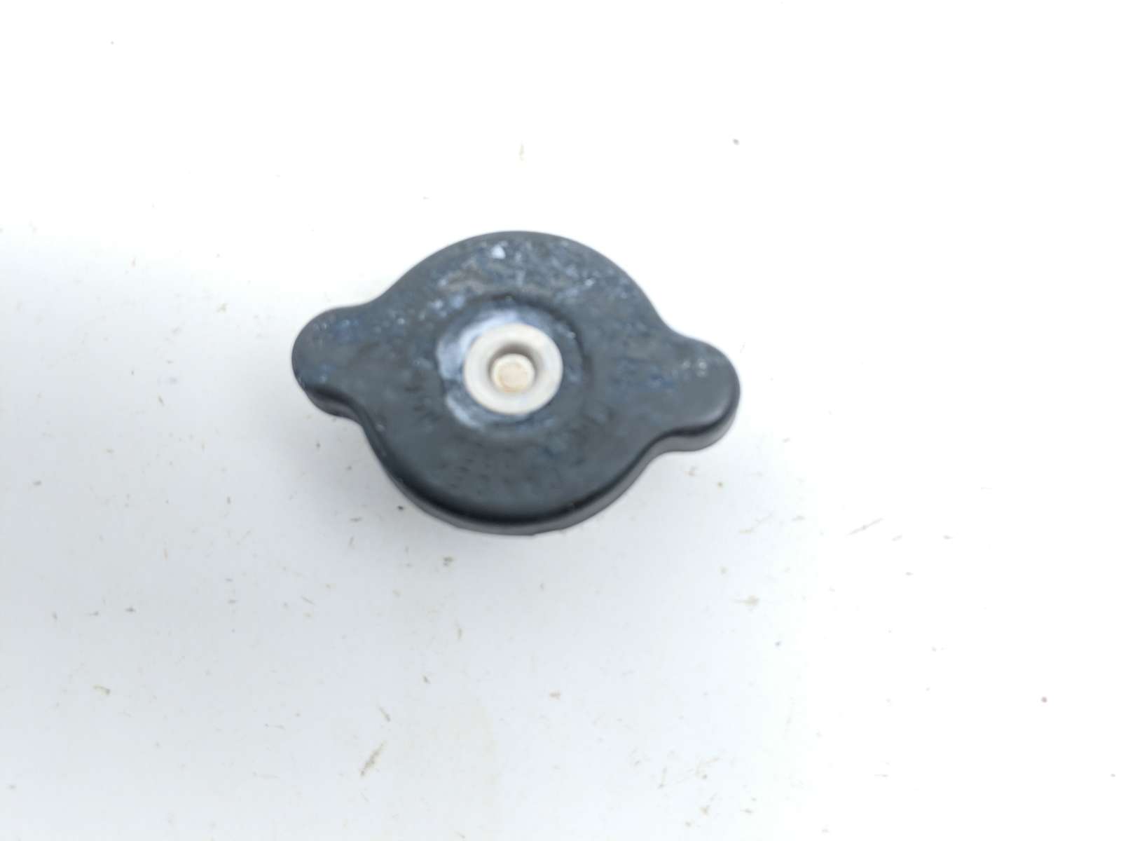 19 Kawasaki Ninja ZX14 Radiator Cap