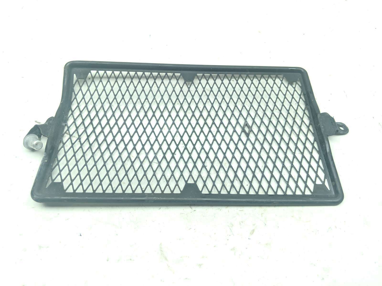 18 Triumph Street Twin Radiator Screen Guard