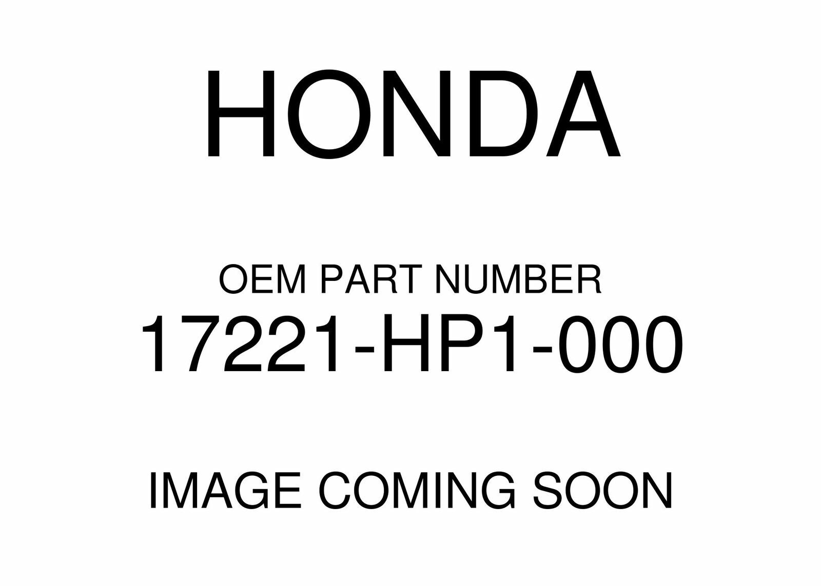 Honda 2004-2008 TRX A/Clnr Elem Stay 17221-HP1-000 New OEM