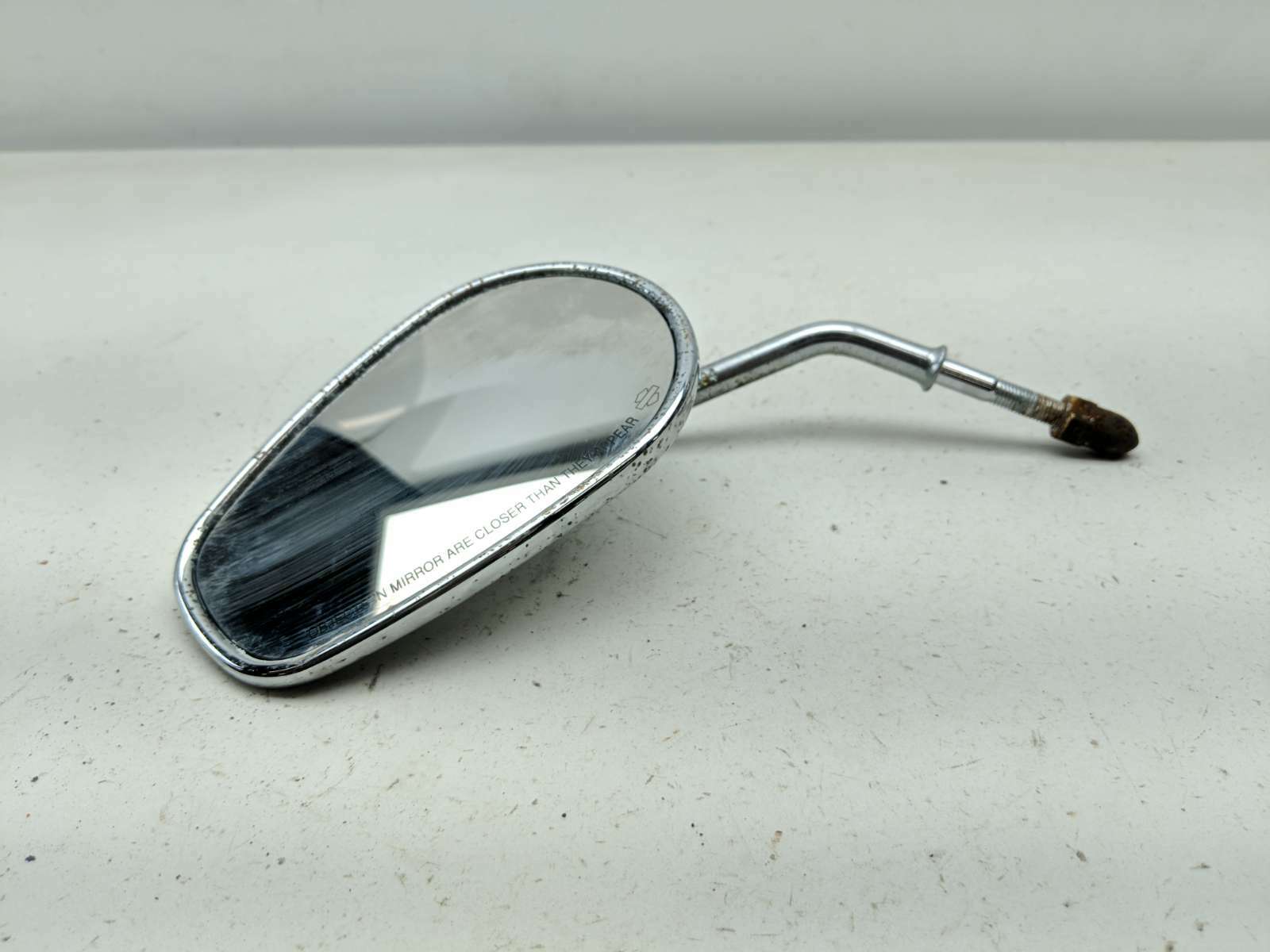 rhino様 879 紫紺系ホワイトアイ 幼虫20匹 ニジイロクワガタ