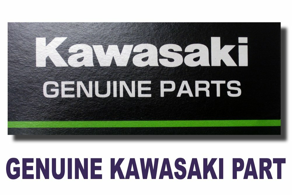 SPOKE-ASSEMBLY, WITH NIPPLE, REAR INNER, Genuine Kawasaki OEM 41027-057
