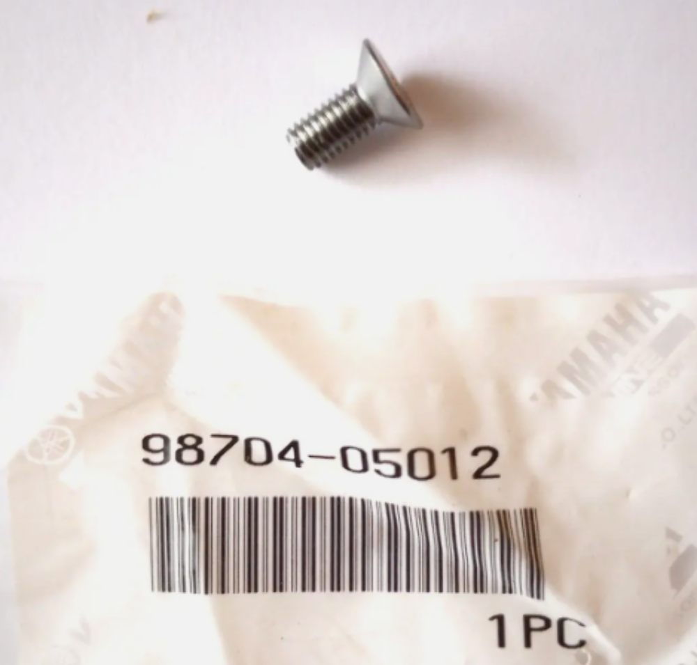 Yamaha XVS650, XVS1100, XVZ1300 Flat Head Screw NOS 98704-05012 QTY 5