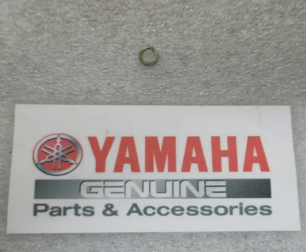 Genuine Yamaha Marine 92901-04100 Spring Washer OEM 929-01041-00 QTY 2