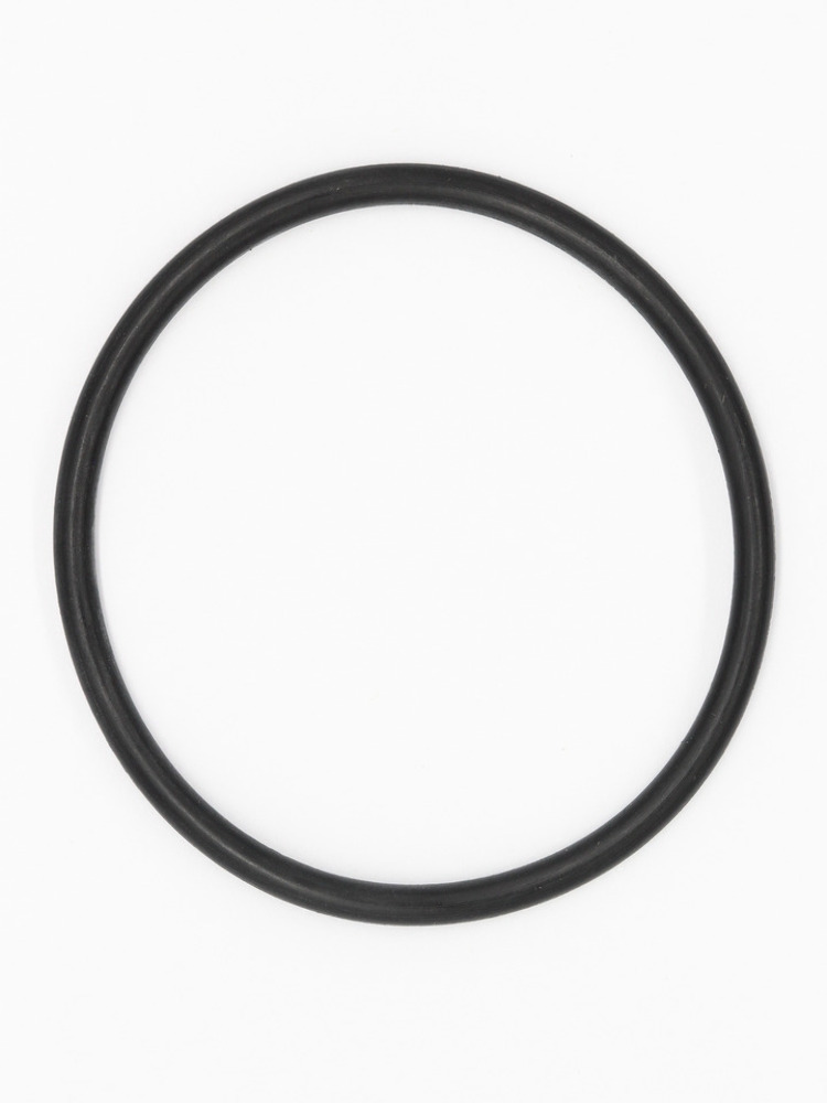 Polaris 3610091 O-RING-42.52X2.62 QTY2