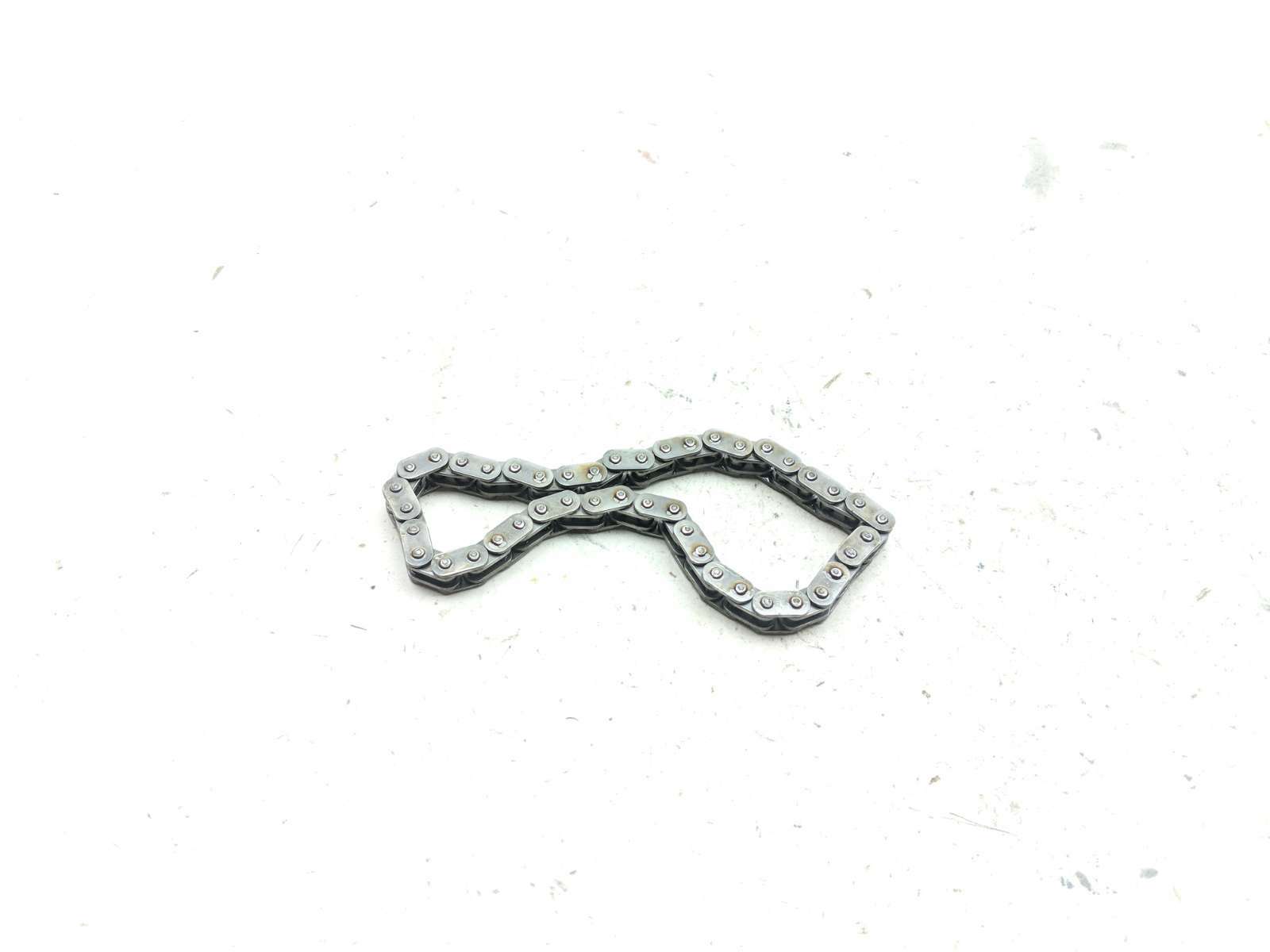 11 Harley Electra Glide Ultra Classic Timing Chain